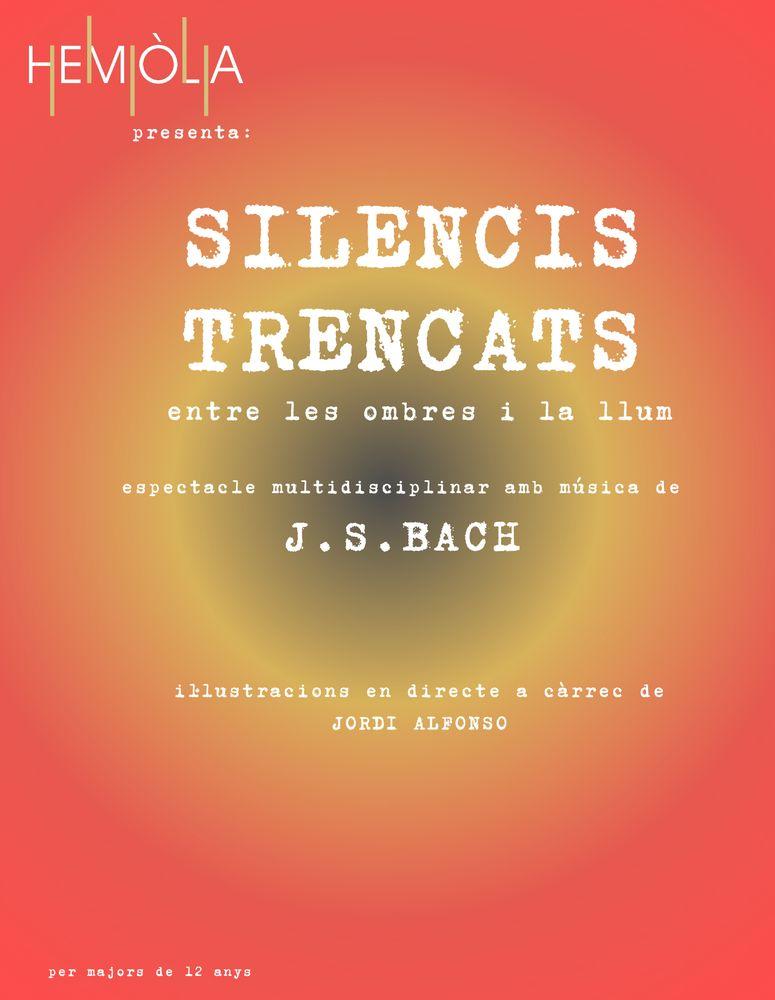 Poster de Silencis Trencats